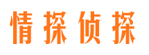 古塔市侦探调查公司